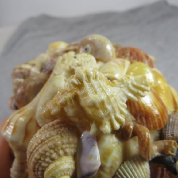 VTG Sea Shell Ball - Orb - Round Coastal Decoration 13" round Aged Yellow - Picture 9 of 11